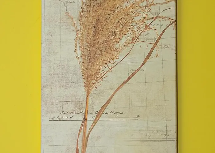 Tiszafa Vendeghaz 3*